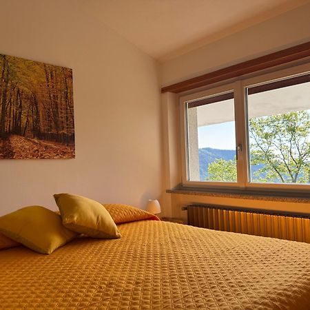 Gold Cave casa vacanze relax nel bosco appartamenti Pessinetto Esterno foto