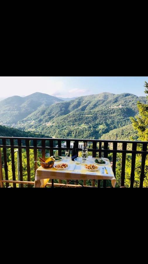 Gold Cave casa vacanze relax nel bosco appartamenti Pessinetto Esterno foto