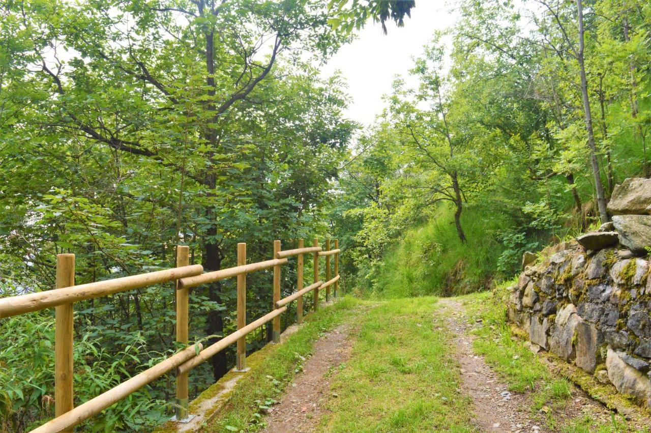 Gold Cave casa vacanze relax nel bosco appartamenti Pessinetto Esterno foto
