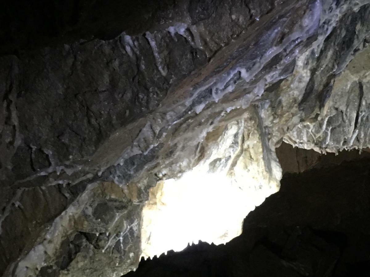 Gold Cave casa vacanze relax nel bosco appartamenti Pessinetto Esterno foto
