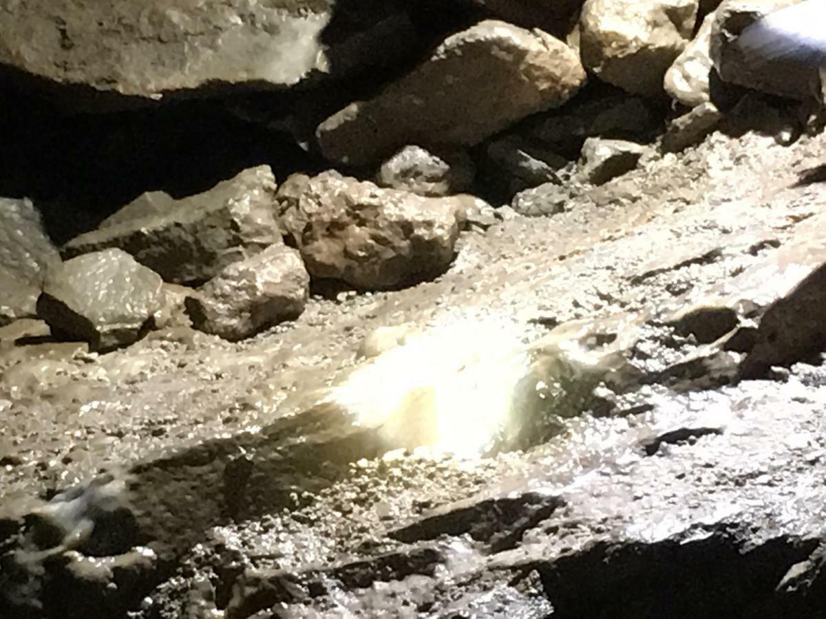 Gold Cave casa vacanze relax nel bosco appartamenti Pessinetto Esterno foto